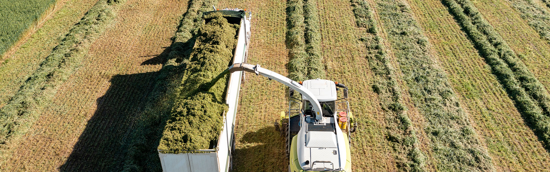 farming1 farming1